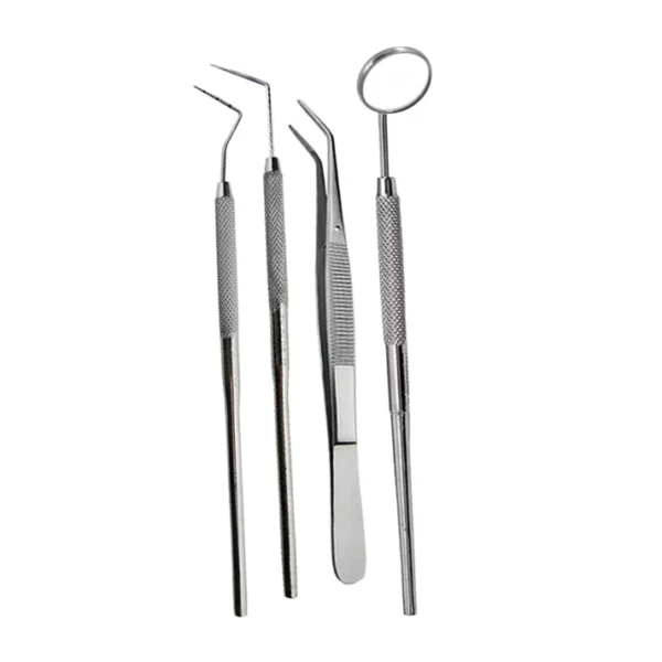 Dental Examination Tool Set of 4 Pcs