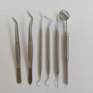 Dental Examination Tool kit of 6 Pcs